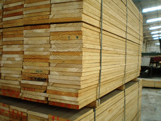 RADIATA PINE LOGS FROM SOUTH AMERICA